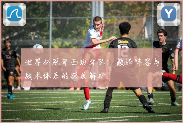 世界杯冠军西班牙队:巅峰阵容与战术体系的深度解析