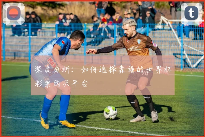 深度分析：如何选择靠谱的世界杯彩票购买平台