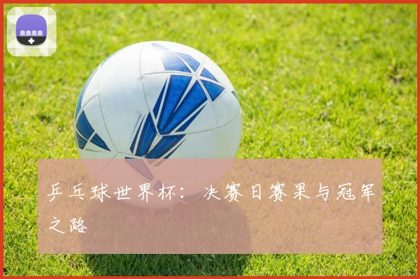 乒乓球世界杯:决赛日赛果与冠军之路
