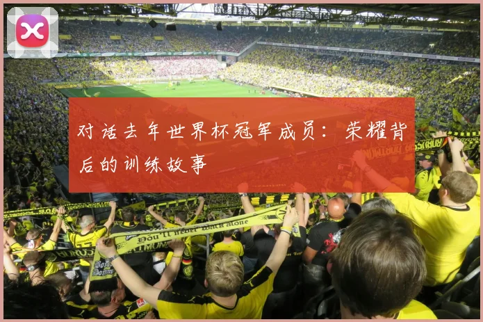 对话去年世界杯冠军成员:荣耀背后的训练故事