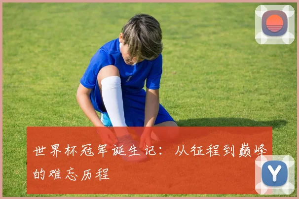 世界杯冠军诞生记：从征程到巅峰的难忘历程