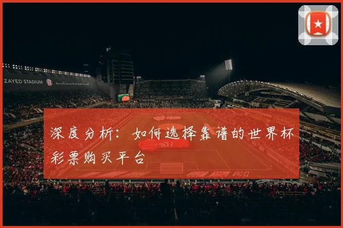 深度分析：如何选择靠谱的世界杯彩票购买平台