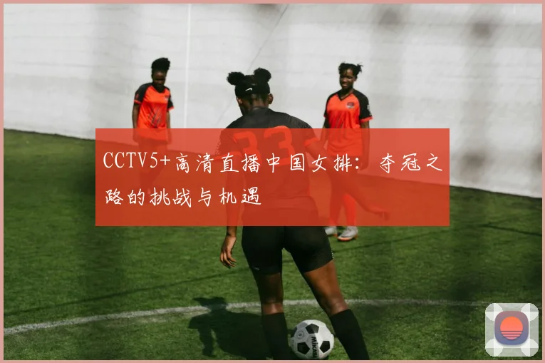CCTV5+高清直播中国女排：夺冠之路的挑战与机遇