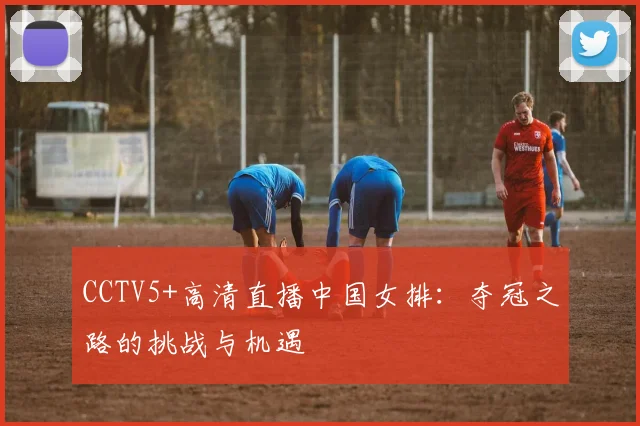 CCTV5+高清直播中国女排:夺冠之路的挑战与机遇